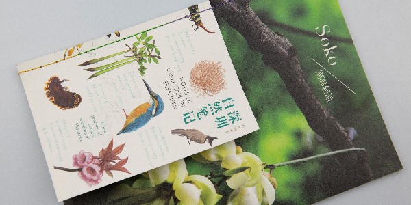 有靈魂的宣傳畫冊就應(yīng)該這樣設(shè)計！-和印愛歐圖文