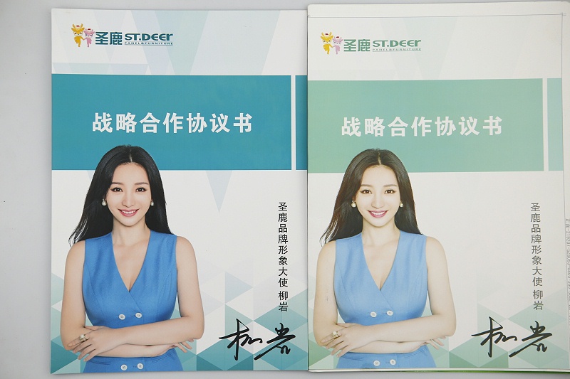 產(chǎn)品宣傳冊